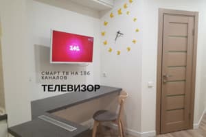 Квартира Студио на Ломоносова. Апартаменты двухместный  2